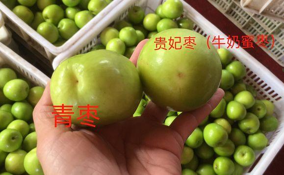 感如牛奶般润滑!像雪梨一样多汁,一日三颗不显老