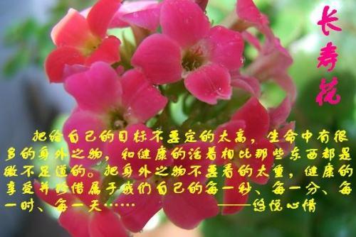 健康比什么都重要,没有健康,没有一切