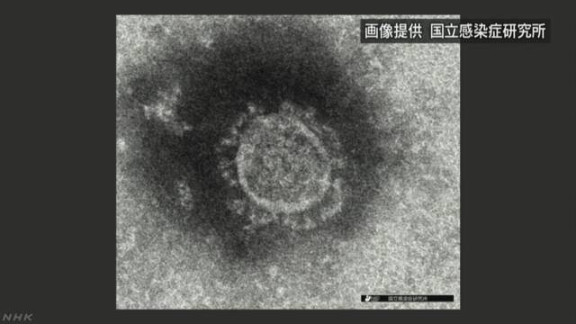 图源/日本放送协会(NHK)