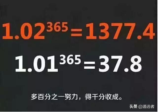 理财其实没那么复杂,新手看完这篇文章就足够了