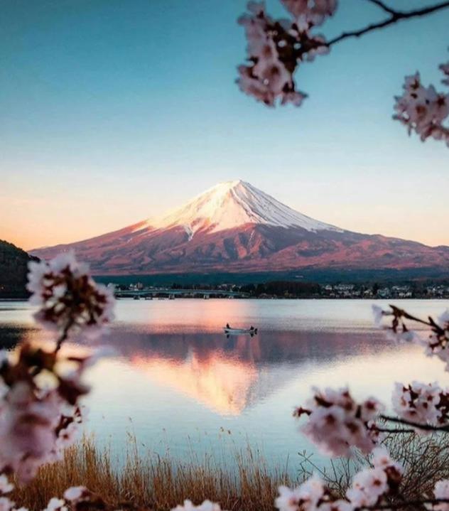 日本富士山小众打卡,领略最美樱花季