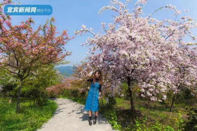 正式确定!宜宾又添3个4A景区,其中2个不要门票!