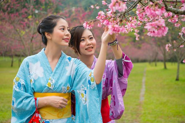 闻香识世界,春季赏花指南#唤醒好春光#