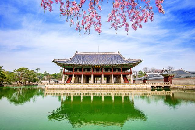 闻香识世界,春季赏花指南#唤醒好春光#