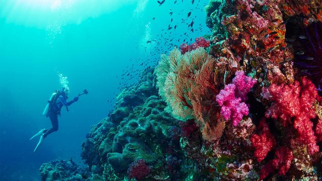 8个做梦都想去的国外海岛,超70种玩法还一律免签,玩海必去!