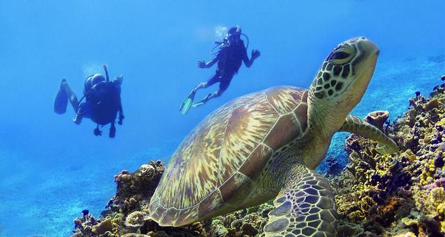 8个做梦都想去的国外海岛,超70种玩法还一律免签,玩海必去!