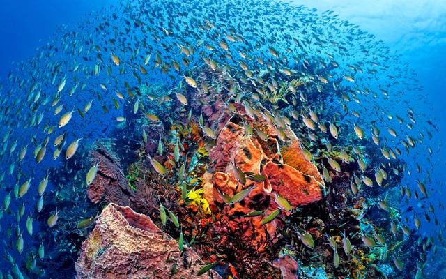 8个做梦都想去的国外海岛,超70种玩法还一律免签,玩海必去!