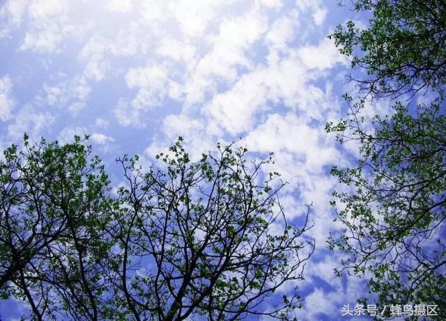 简单4招教你拍好天空美景,风景摄影进阶精品教程