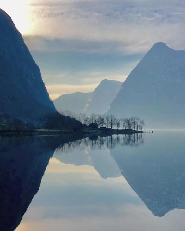 摄影欣赏丨树与光组成的一处处风景