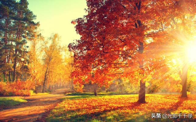 秋景年年拍,年年一个样!使用这个摄影技巧,拍出别样的动感美景