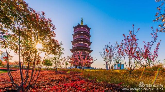 2019年摄影作品回顾,风光摄影100图,洛阳和国内美景