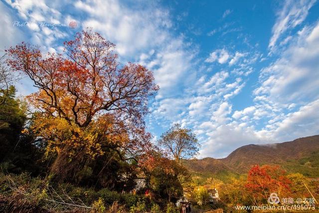 2019年摄影作品回顾，风光摄影100图，洛阳和国内美景