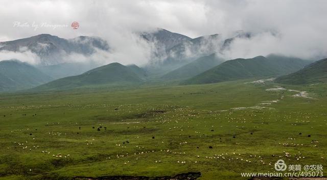 2019年摄影作品回顾，风光摄影100图，洛阳和国内美景