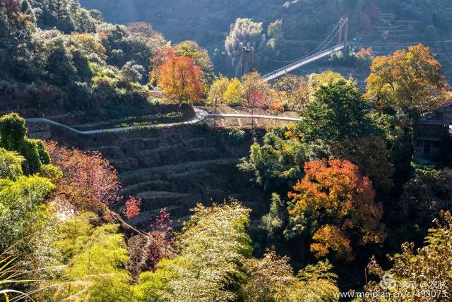 2019年摄影作品回顾，风光摄影100图，洛阳和国内美景