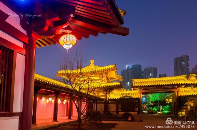 2019年摄影作品回顾,风光摄影100图,洛阳和国内美景