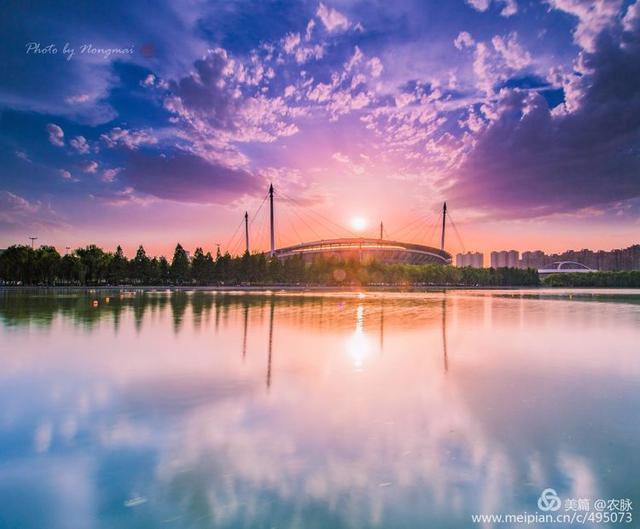 2019年摄影作品回顾,风光摄影100图,洛阳和国内美景