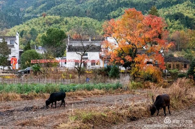 2019年摄影作品回顾，风光摄影100图，洛阳和国内美景