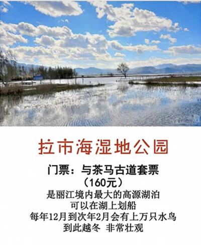 云南旅游攻略,8天人均3800,带你玩转云南!