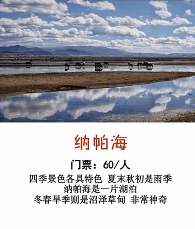 云南旅游攻略,8天人均3800,带你玩转云南!