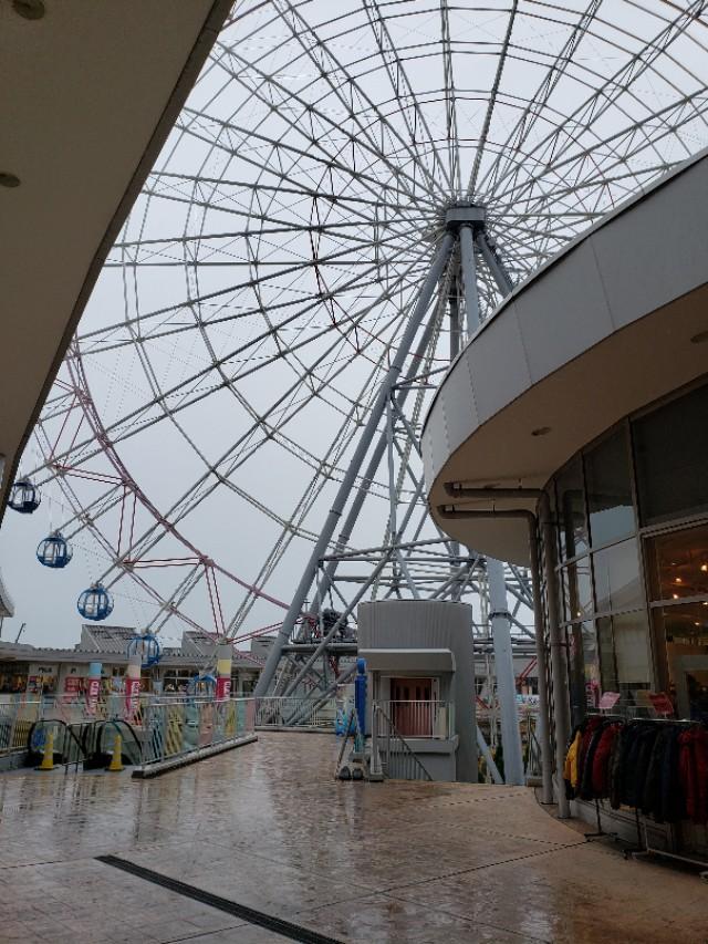 如果你今生只想去一次日本,千万别跟我一样,报这样的旅行团 完