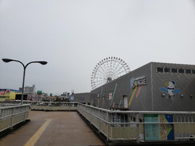 如果你今生只想去一次日本,千万别跟我一样,报这样的旅行团 完