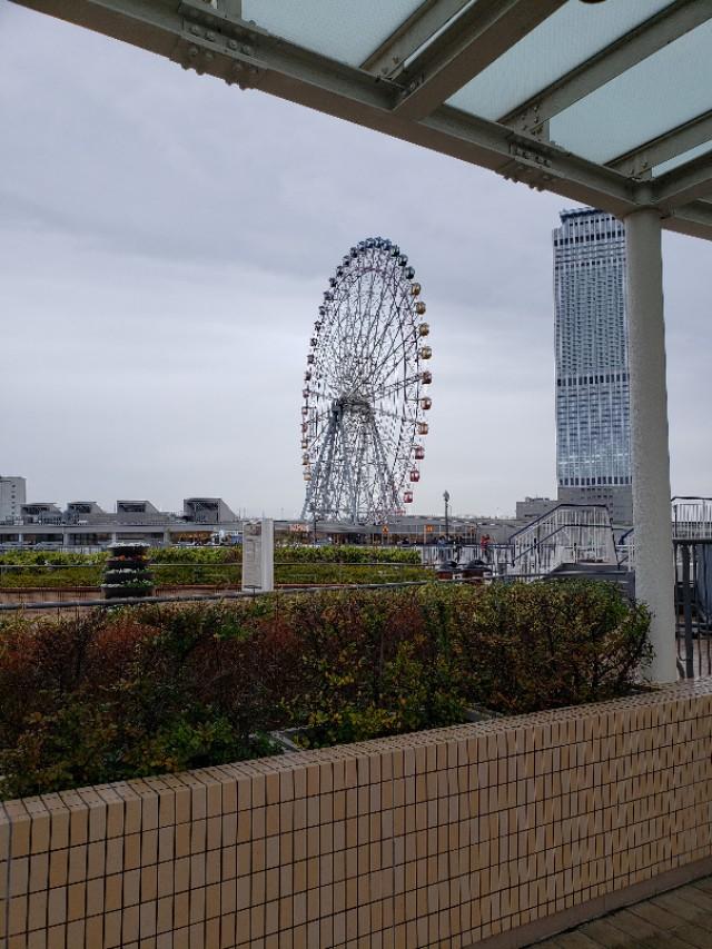 如果你今生只想去一次日本,千万别跟我一样,报这样的旅行团 完