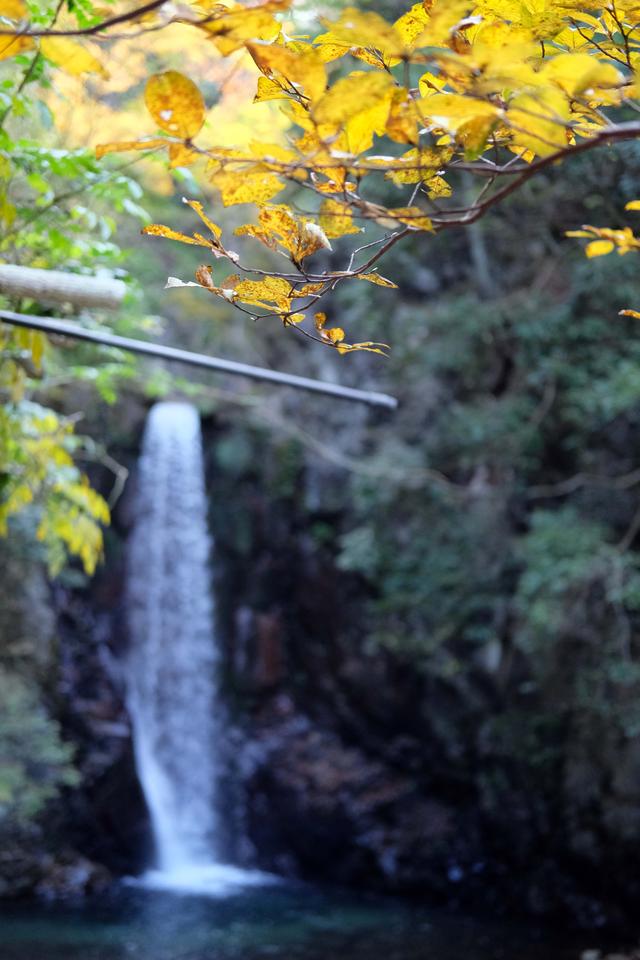 有马温泉的隐藏打卡地:一碗“山川异域,风月同天”的关东煮