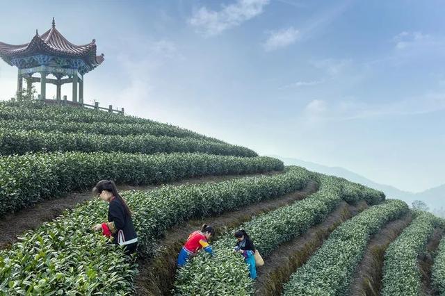 温州市54家旅游景区景点,已向全国游客免费开放!