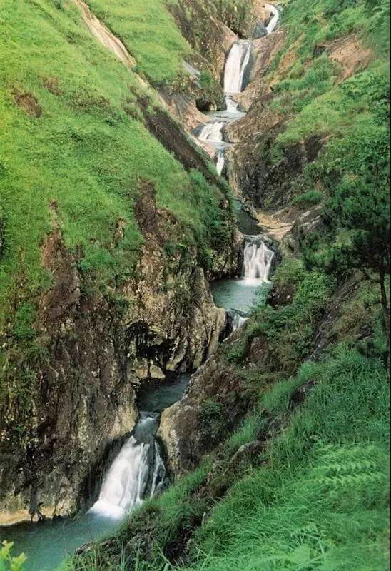 温州市54家旅游景区景点,已向全国游客免费开放!