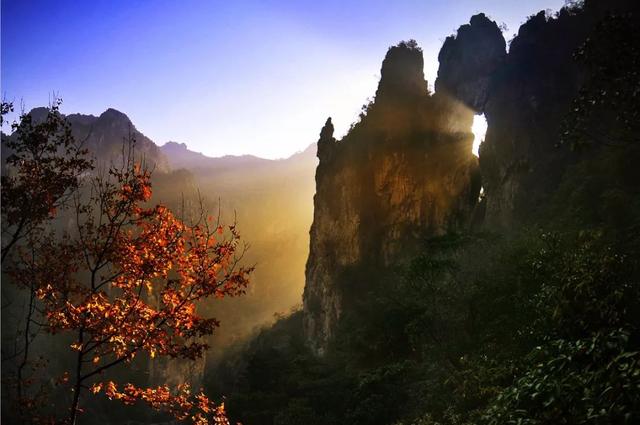 温州市54家旅游景区景点,已向全国游客免费开放!