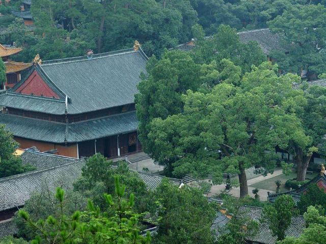 国内“零差评”5A景区,门票免费车票仅15元,小资旅行看过来
