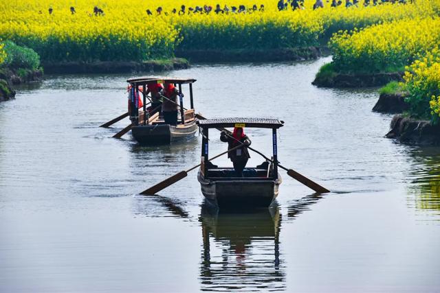 人民网点赞，中国最美水上油菜花田
