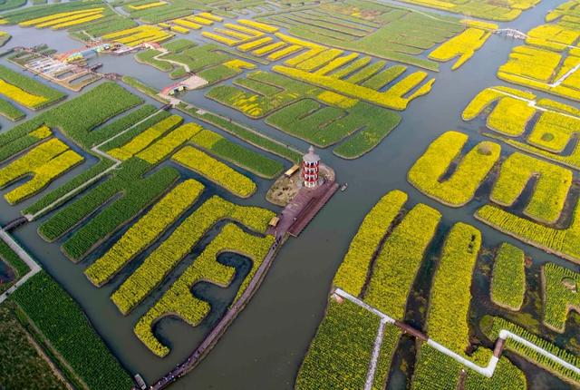 人民网点赞,中国最美水上油菜花田