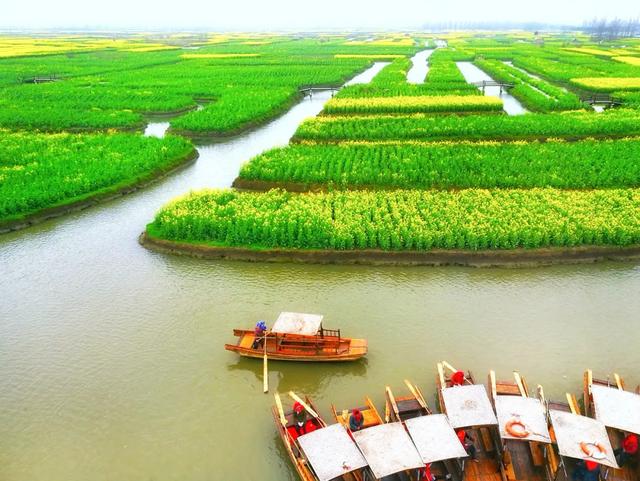 人民网点赞,中国最美水上油菜花田