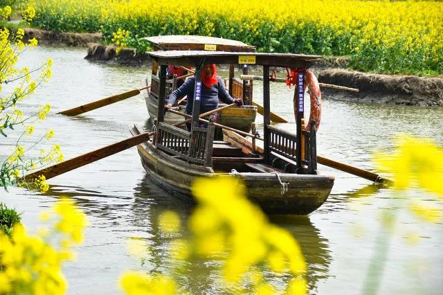 人民网点赞,中国最美水上油菜花田