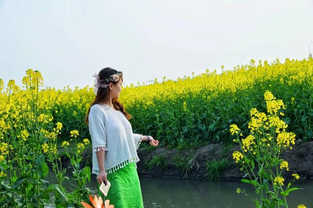 人民网点赞,中国最美水上油菜花田