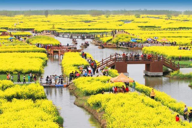 人民网点赞,中国最美水上油菜花田