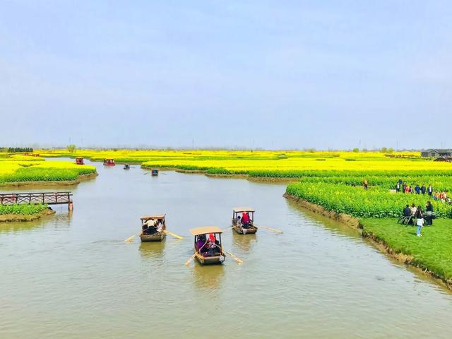人民网点赞,中国最美水上油菜花田