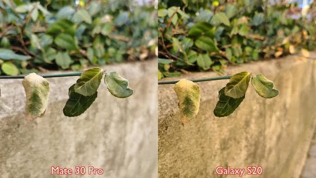 三星S20与华为Mate30Pro镜头只差一颗:但拍照差距还是很大
