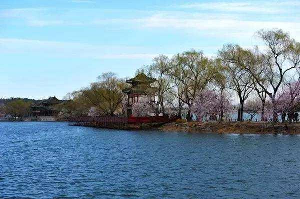 北京踏青去哪里?不要总是去玉渊潭