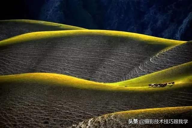 掌握这5个摄影小技巧,就可以有效提高你的摄影技术
