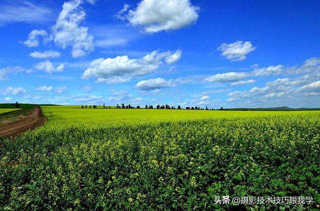 掌握这5个摄影小技巧,就可以有效提高你的摄影技术