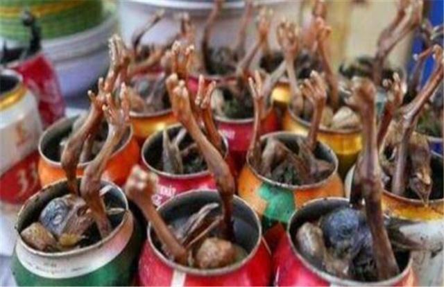 越南街头的“黑暗”小吃,制作方法罕见,每天用掉300个易拉罐!