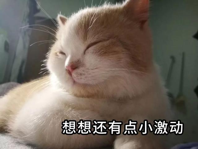 恒大这步棋太狠了!新战略震撼整个楼市!