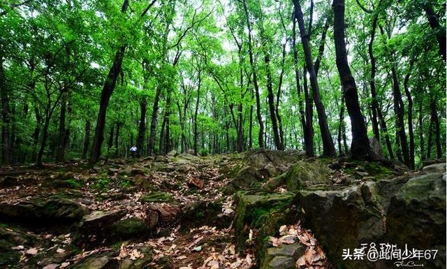 武汉十大旅游景点,去武汉旅游一定不要错过,风景美的不像话