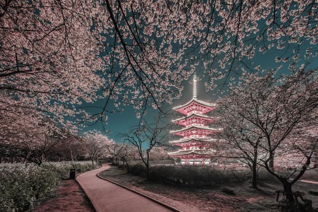 武汉一日游不可错过的景点,逛完这些才算来过武汉,你去过几个?