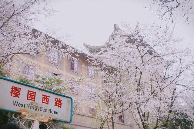 在家云旅游,等到穿暖花开,武汉的这几个景点我要挨个逛一圈