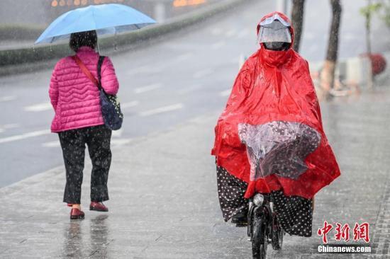 资料图:市民在雨中出行。中新社记者 陈骥旻 摄