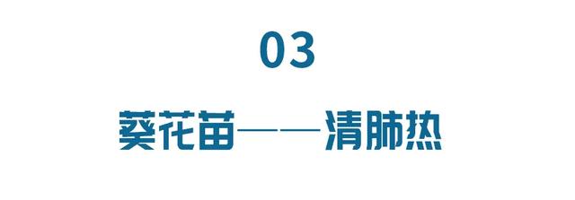 萝卜、白菜靠边站,这3种苗菜最近要常吃!清热润肺又通便