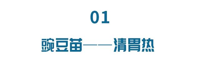 萝卜、白菜靠边站,这3种苗菜最近要常吃!清热润肺又通便